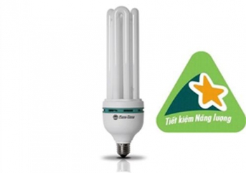 Cách giải quyết bóng đèn rạng đông khi gặp sự cố