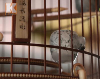 Những chiếc lồng chim có giá trị cả tiền tỷ