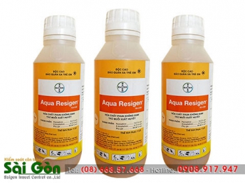 Cách phun thuốc diệt muỗi đúng nhất