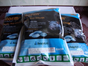 Giải pháp nào để diệt chuột triệt để?