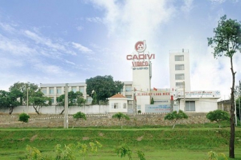Dây cáp điện Cadivi 6.0